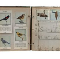 Omc 1986.015.001 (6) Edited